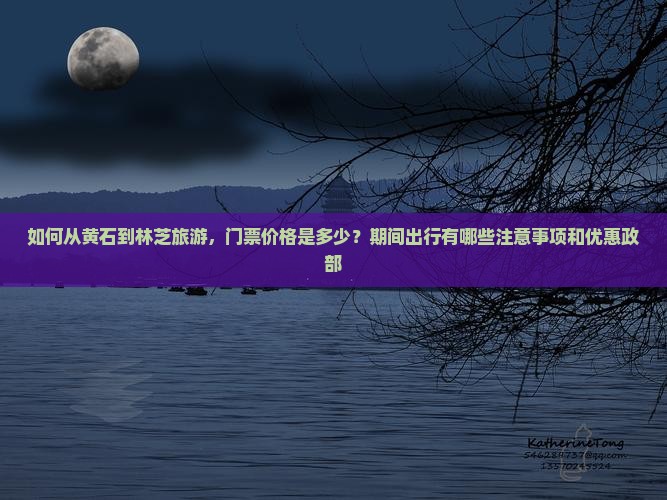 如何从黄石到林芝旅游，门票价格是多少？期间出行有哪些注意事项和优惠政部