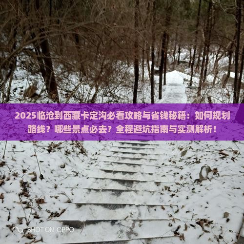 临沧到西藏卡定沟景点