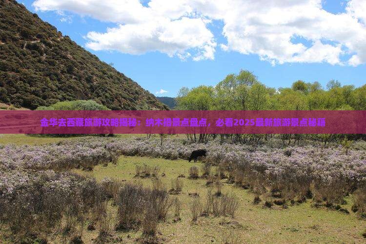 金华去西藏纳木措必去地