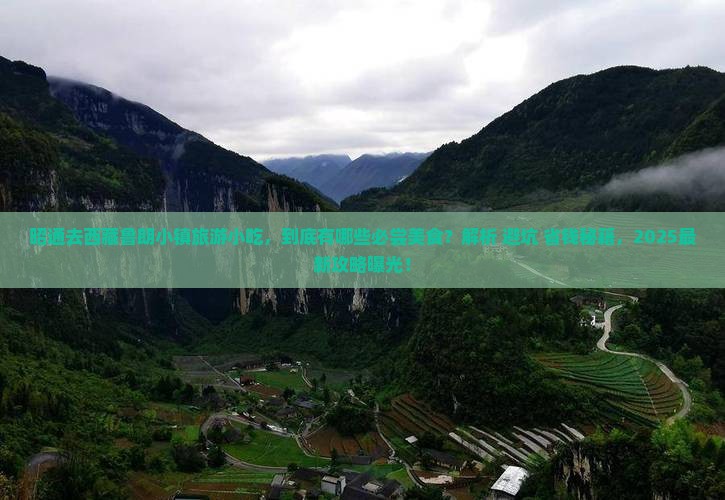 昭通去西藏鲁朗小镇旅游小吃