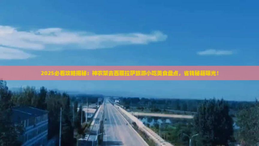 神农架去西藏拉萨旅游小吃
