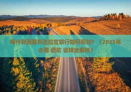 喀什到西藏布达拉宫旅行社