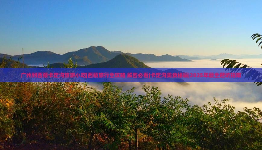 广州到西藏卡定沟旅游小吃