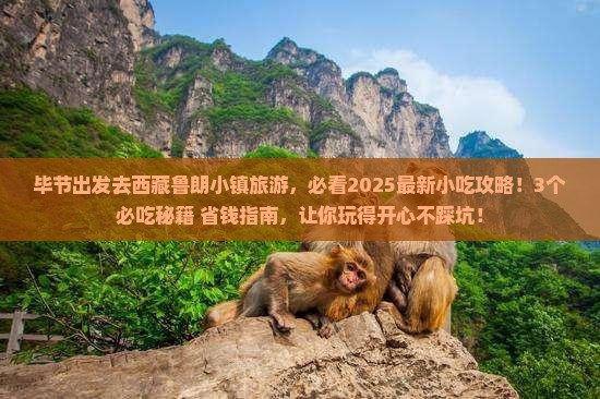 毕节去西藏鲁朗小镇旅游小吃