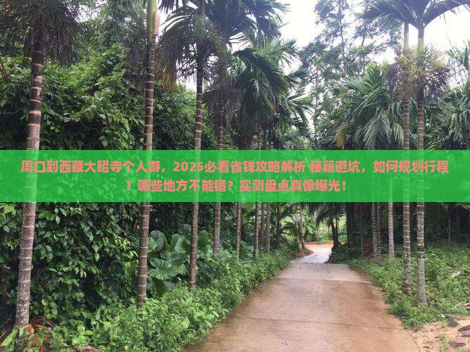 周口到西藏大昭寺个人游