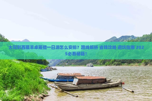 大同到西藏羊卓雍措一日