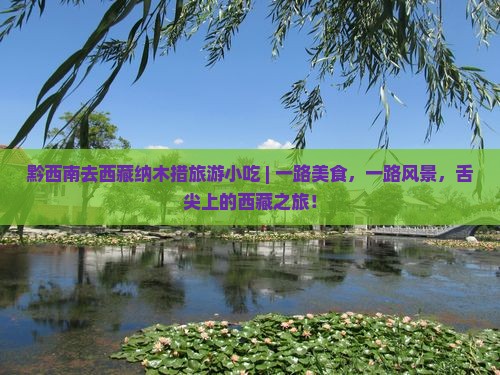 黔西南去西藏纳木措旅游小吃
