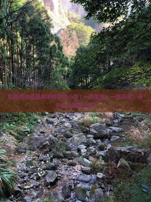 黔西南去西藏纳木措旅游小吃