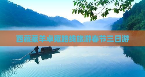 春节去西藏羊卓雍措三日游 春节去西藏羊卓雍措三日游