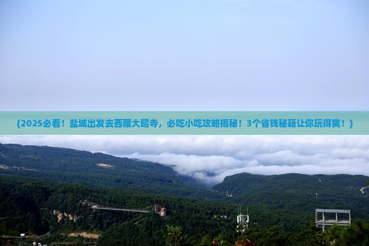 盐城去西藏大昭寺旅游小吃