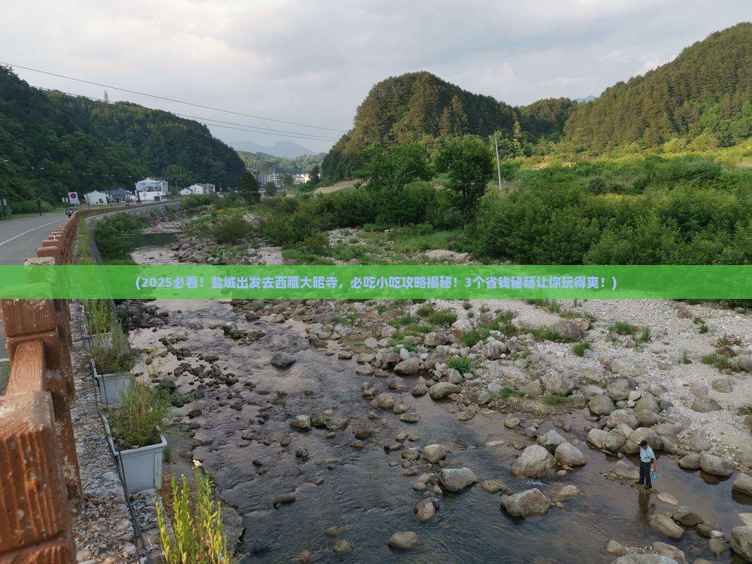 盐城去西藏大昭寺旅游小吃