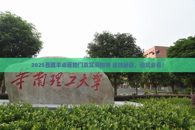 六月到西藏羊卓雍措门票