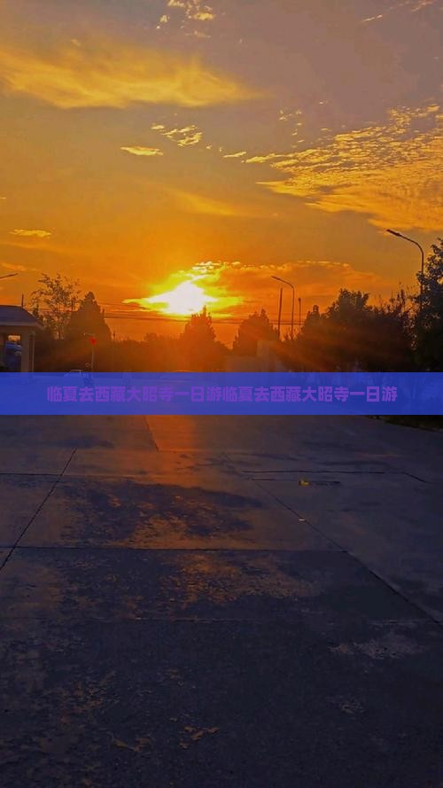 临夏去西藏大昭寺一日
