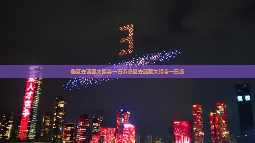 临夏去西藏大昭寺一日