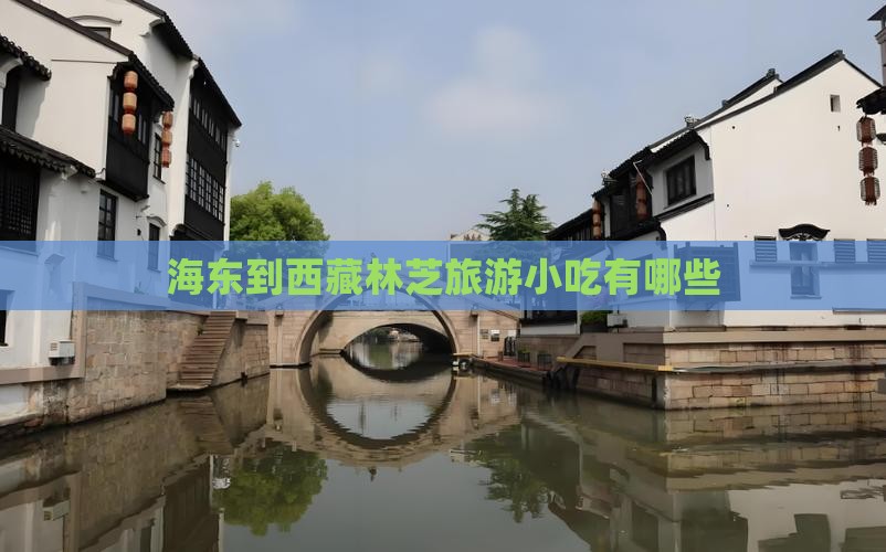 海东到西藏林芝旅游小吃