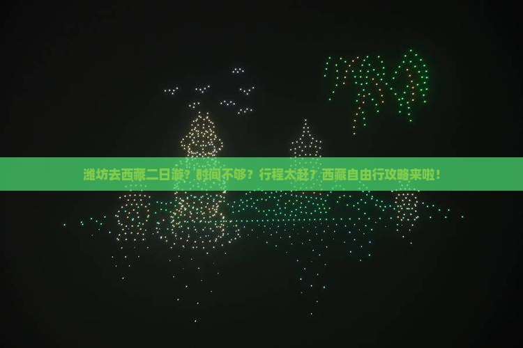 潍坊去西藏二日游