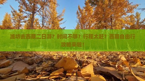 潍坊去西藏二日游
