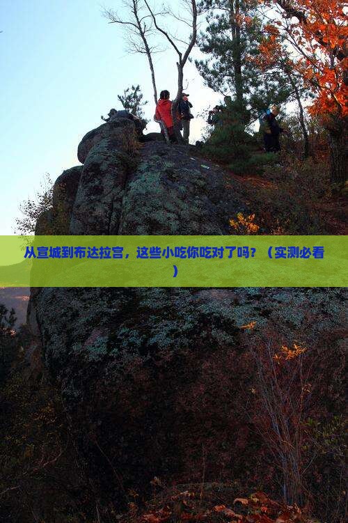 宣城到西藏布达拉宫旅游小吃