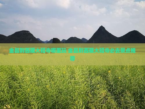 金昌到西藏大昭寺哪里玩