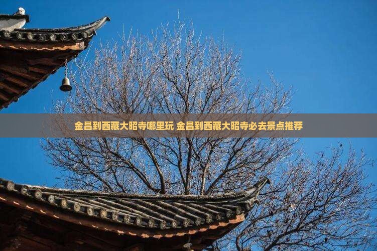 金昌到西藏大昭寺哪里玩