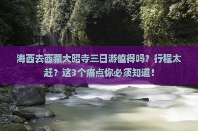 海西去西藏大昭寺三日游