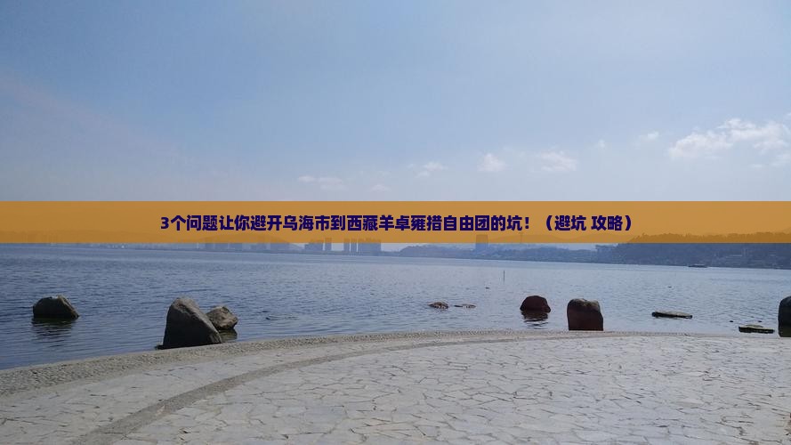 乌海市到西藏羊卓雍措自由团