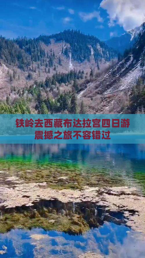 铁岭去西藏布达拉宫四日游