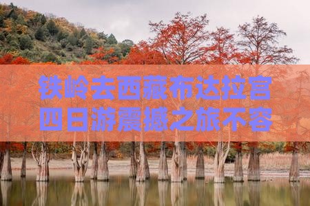 铁岭去西藏布达拉宫四日游