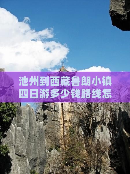 池州到西藏鲁朗小镇四日游
