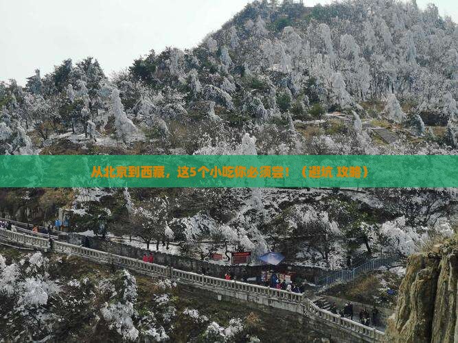 北京到西藏旅游小吃