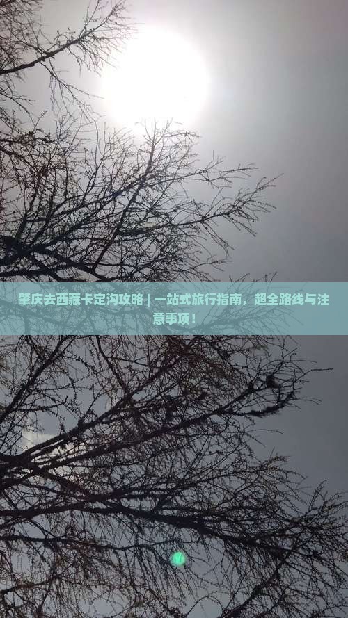 肇庆去西藏卡定沟攻略