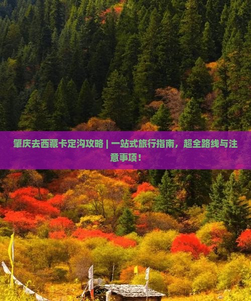 肇庆去西藏卡定沟攻略