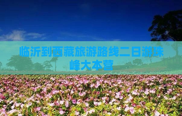 临沂到西藏珠峰大本营二日游