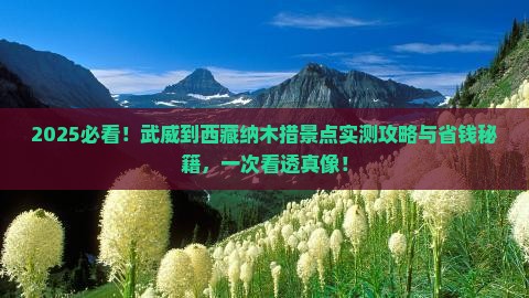 武威到西藏纳木措景点