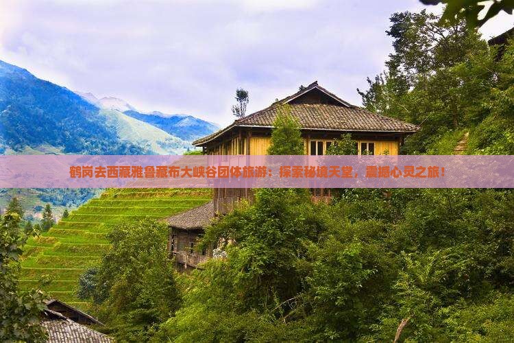 鹤岗去西藏雅鲁藏布大峡谷团体旅游