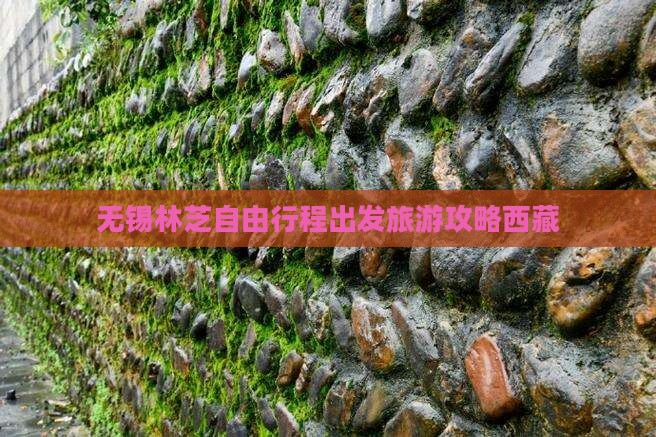 无锡到西藏林芝自由团