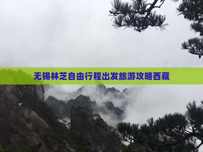 无锡到西藏林芝自由团