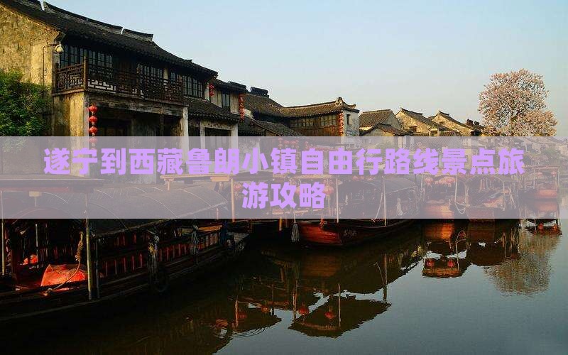 遂宁去西藏鲁朗小镇自由行