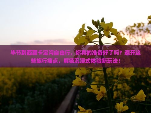 毕节到西藏卡定沟自由行