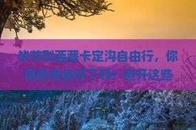 毕节到西藏卡定沟自由行