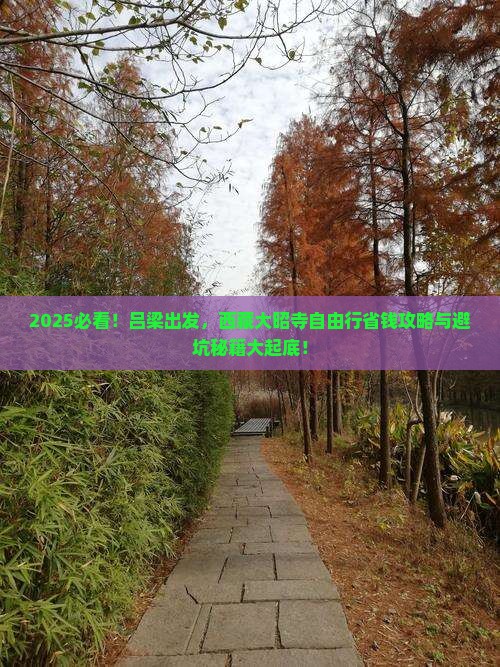 吕梁到西藏大昭寺自由团