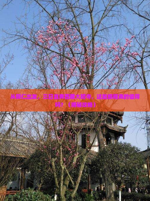 铜仁到西藏大昭寺三日游