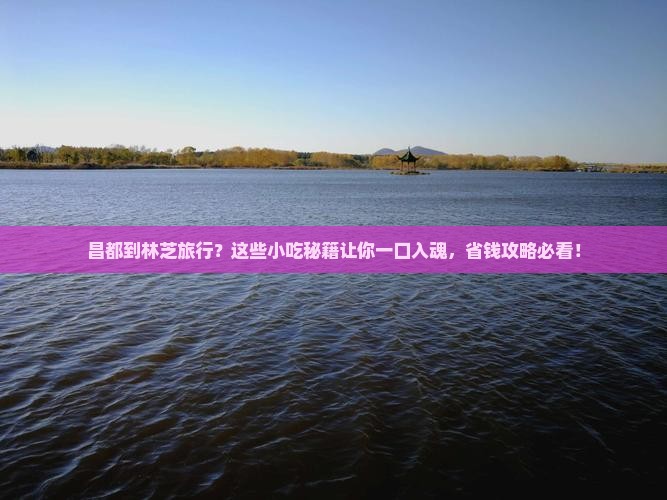 昌都到西藏林芝旅游小吃
