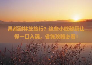 昌都到西藏林芝旅游小吃