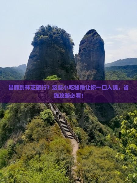 昌都到西藏林芝旅游小吃