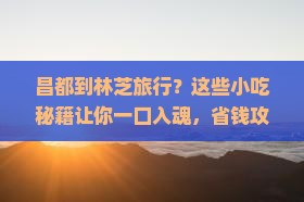 昌都到西藏林芝旅游小吃