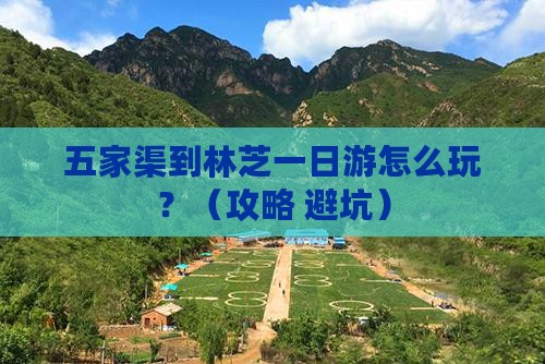 五家渠到西藏林芝一日