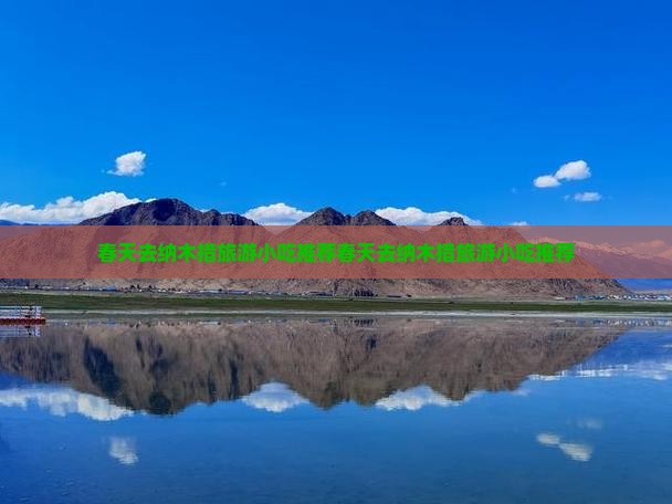春天去西藏纳木措旅游小吃