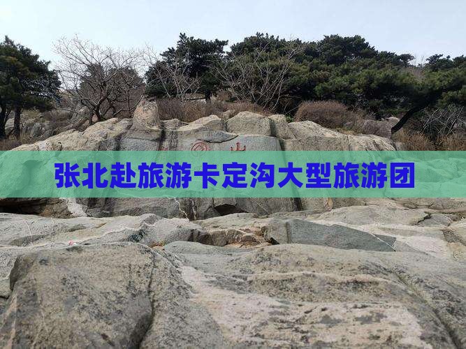 张北去西藏卡定沟大型旅游团