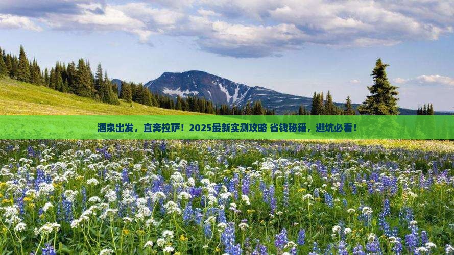 酒泉去西藏拉萨旅游